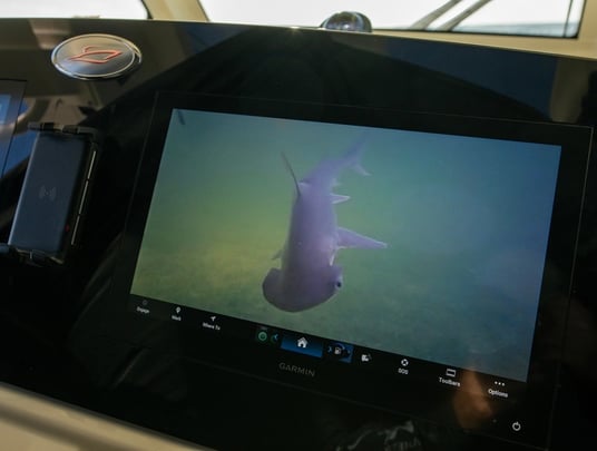 Sport Camera on Garmin Screen - Scout Boat