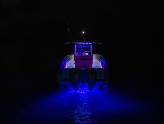 860 x 650 - X4 Blue - Sea Hunt 3
