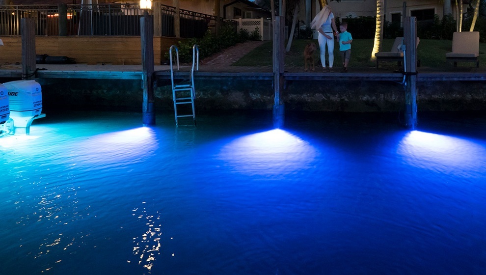 gallery-dock-Sport_S3116d_2 - 990 x 560