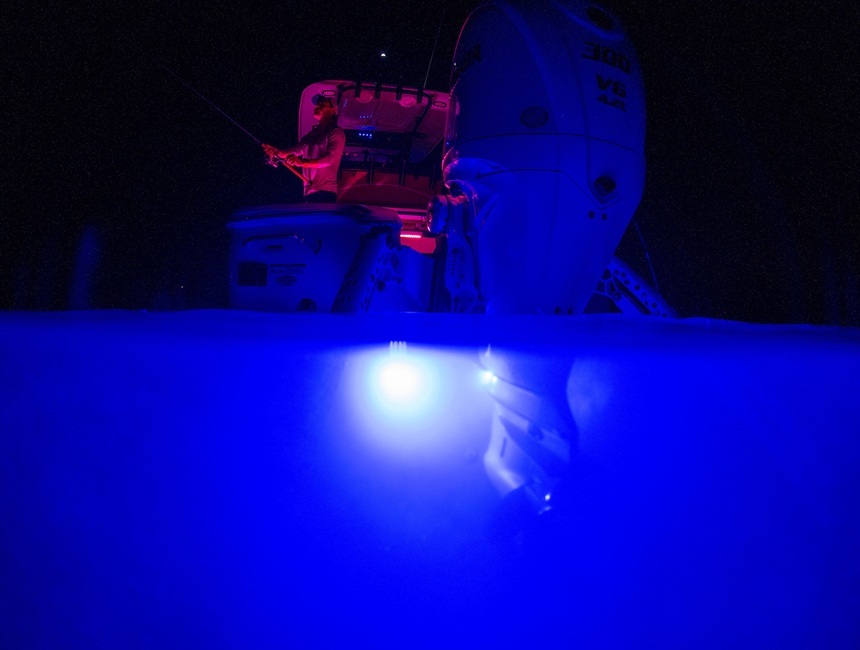 Sea Hunt - X4 Blue - Fishing - 860x650 px