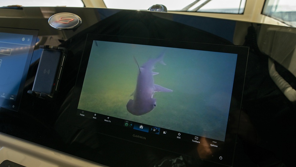 Sport Camera - Garmin - 990 x 560