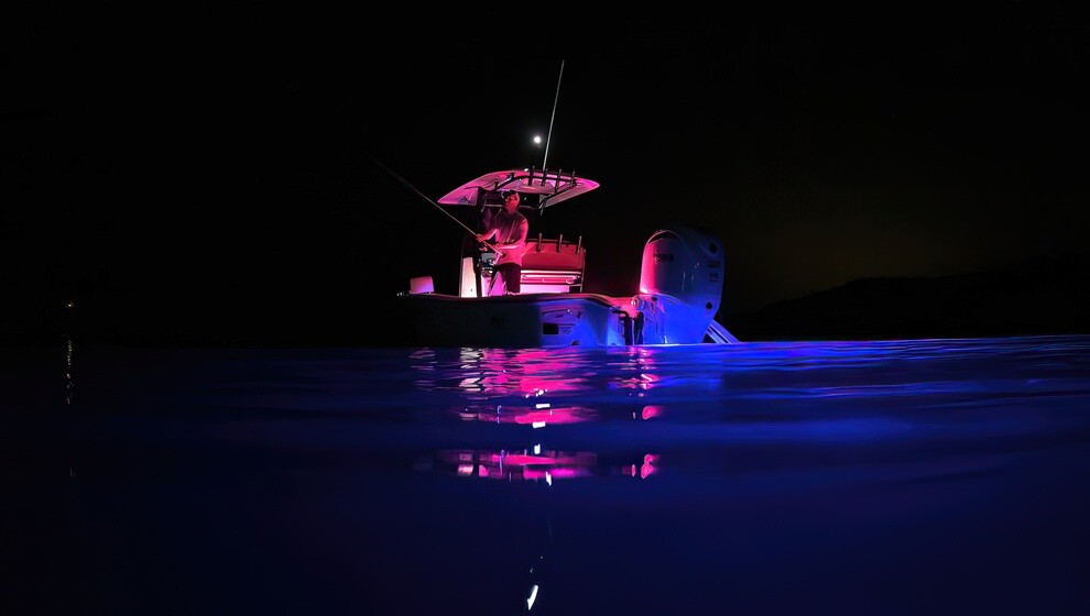 X4 Blue - Sea Hunt - 990 x 560