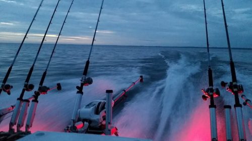 Looking back from the fishing boat showing pink LEDs