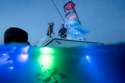 Two people fishing in the sea using the green light