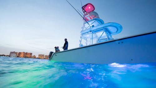 A boat fishing using the blue/green light