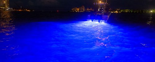 View of what the blue led light looks like in the sea