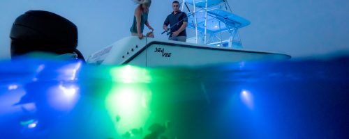 In water photo of boat using a blue and green led light