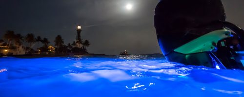 dark blue water
